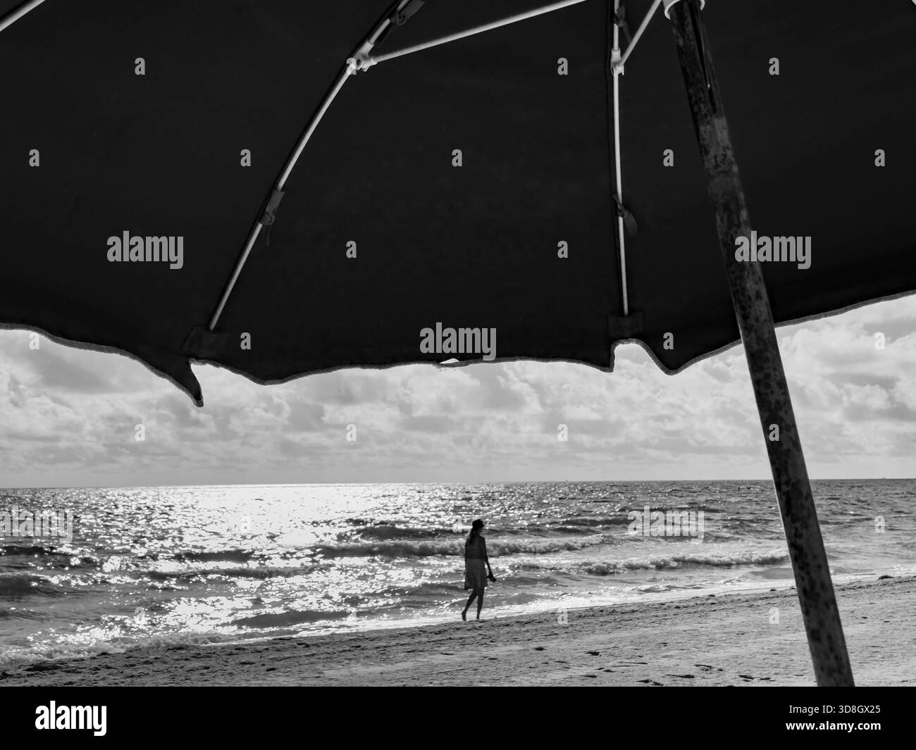 Silhouette d'une femme solitaire marchant le long du rivage, encadrée sous un grand parasol, avec la lumière scintillante de l'océan dans un noir et blanc spectaculaire - Image de stock capturée avec un smartphone