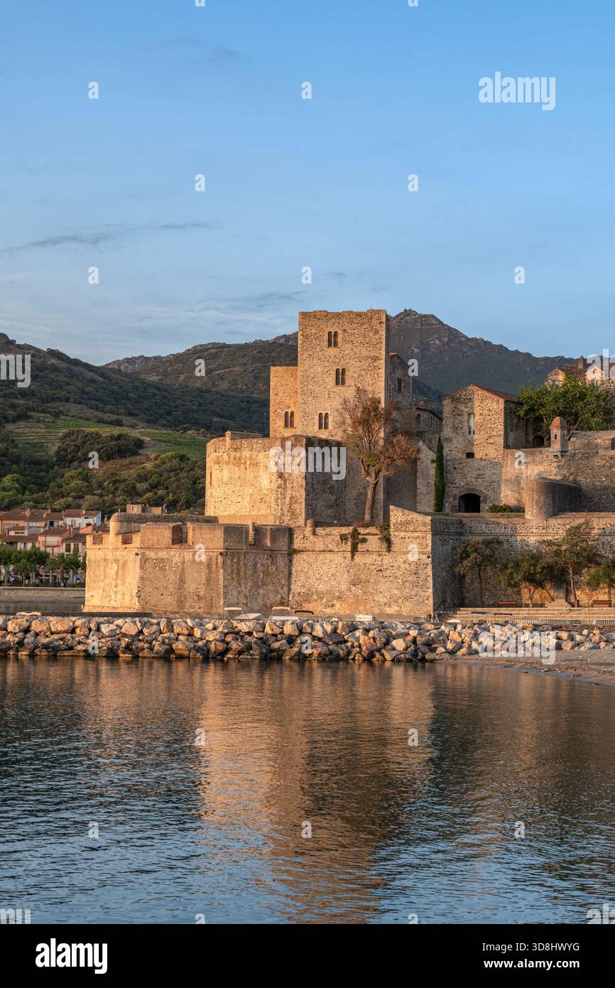 Le château royal historique de Collioure (Château Royal de Collioure) sur le front de mer, reflétant dans la mer Méditerranée au coucher du soleil Banque D'Images