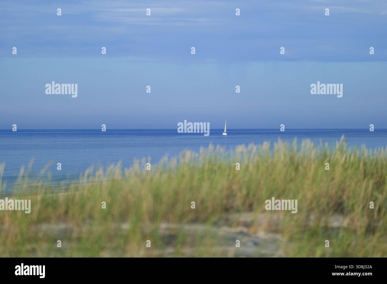 Une belle vue sur la mer Baltique calme. Les herbes sur les dunes sont floues au premier plan. Un voilier blanc solitaire est vu en mer. Slajszewo, Pologne Banque D'Images