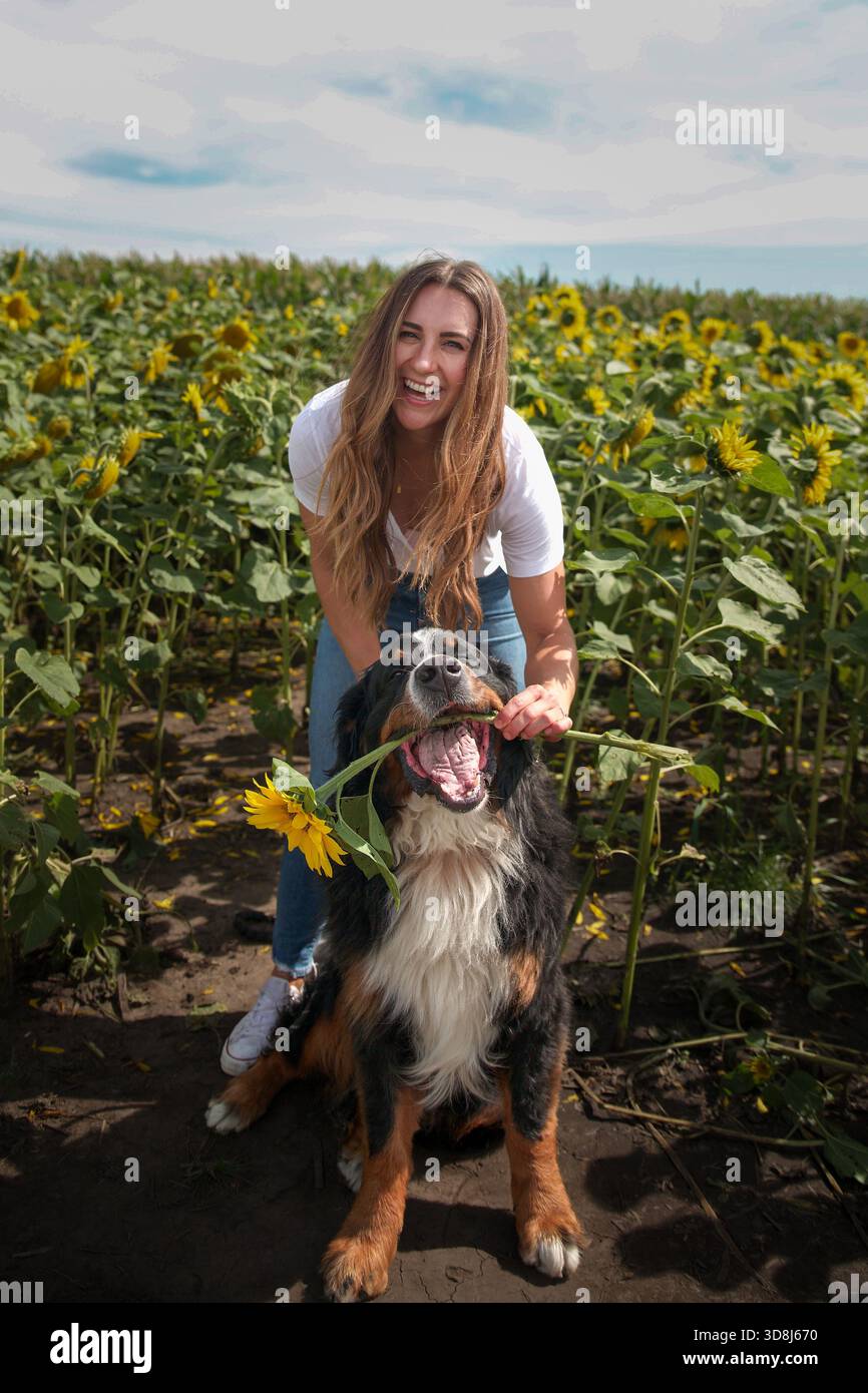 Femme sourit joyeusement avec son chien parmi les grandes tiges de tournesol Banque D'Images