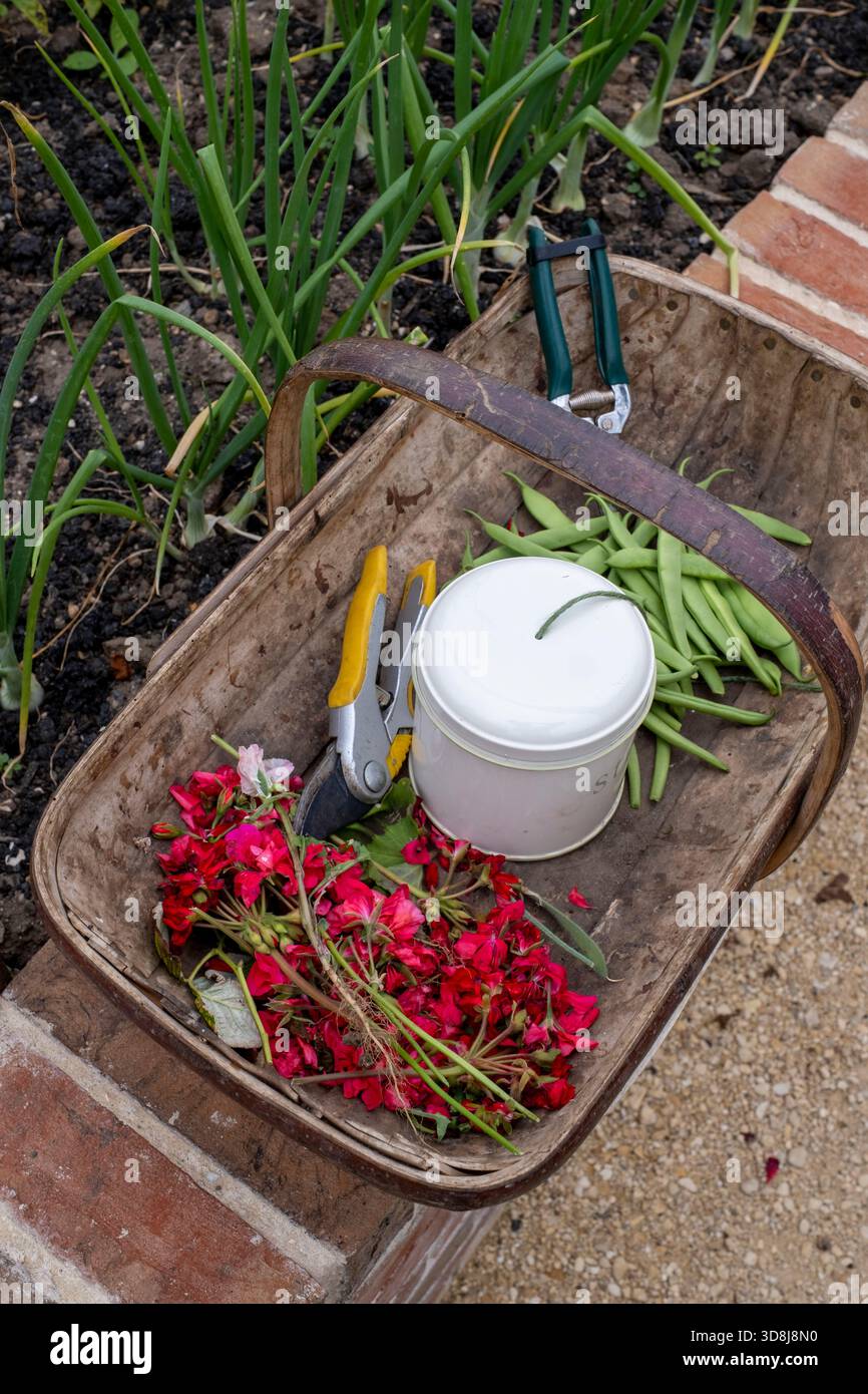 Trug avec outils de jardin et coupures Banque D'Images