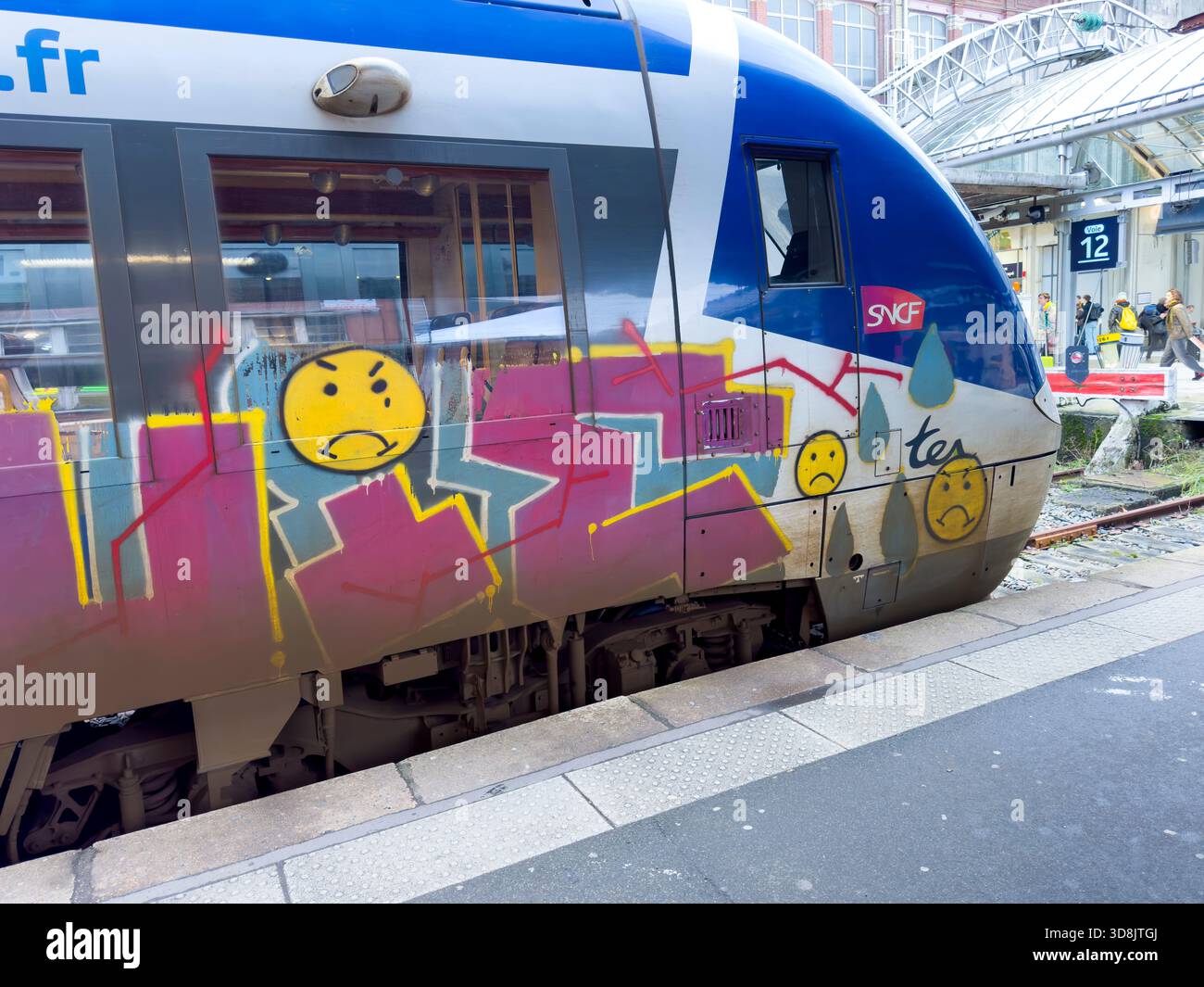 France, hauts de France, Nord, Lille, SNCF TER train, avec graffiti Banque D'Images