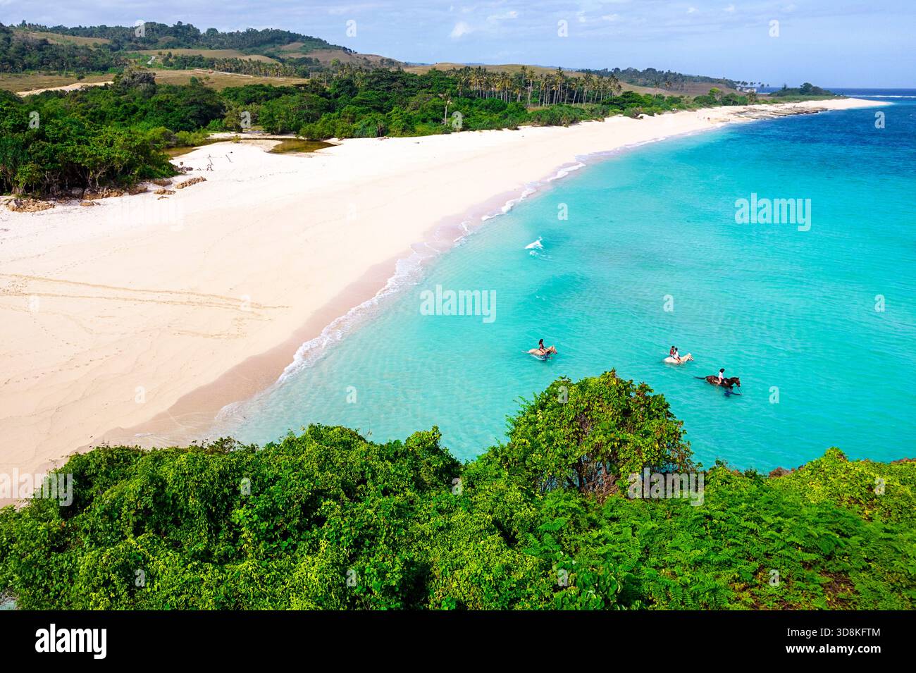Touristes à cheval dans la mer sur la plage de Marosi sur la partie sud de l'île de Sumba, Indonésie, chevaux nageant dans l'eau turquoise Banque D'Images