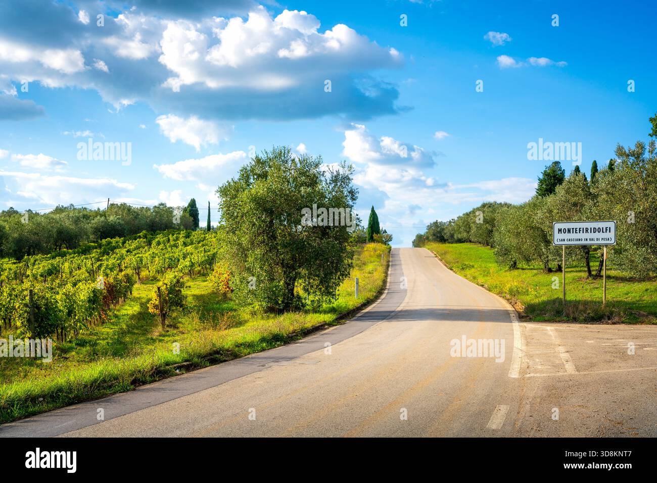 Vue d'une route vers le village toscan de Montefiridolfi, San Casciano in Val di Pesa, Chianti, Italie. La route est bordée de vignes verdoyantes, et ol Banque D'Images