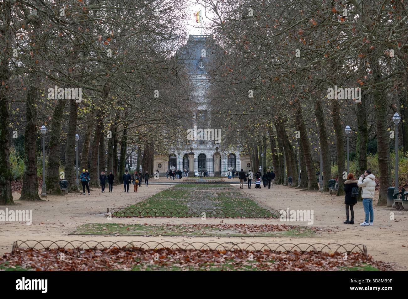 Vue du Warandepark à Bruxelles en automne, avec des feuilles tombées recouvrant les sentiers du parc. En arrière-plan, le Palais Royal — résidence officielle Banque D'Images