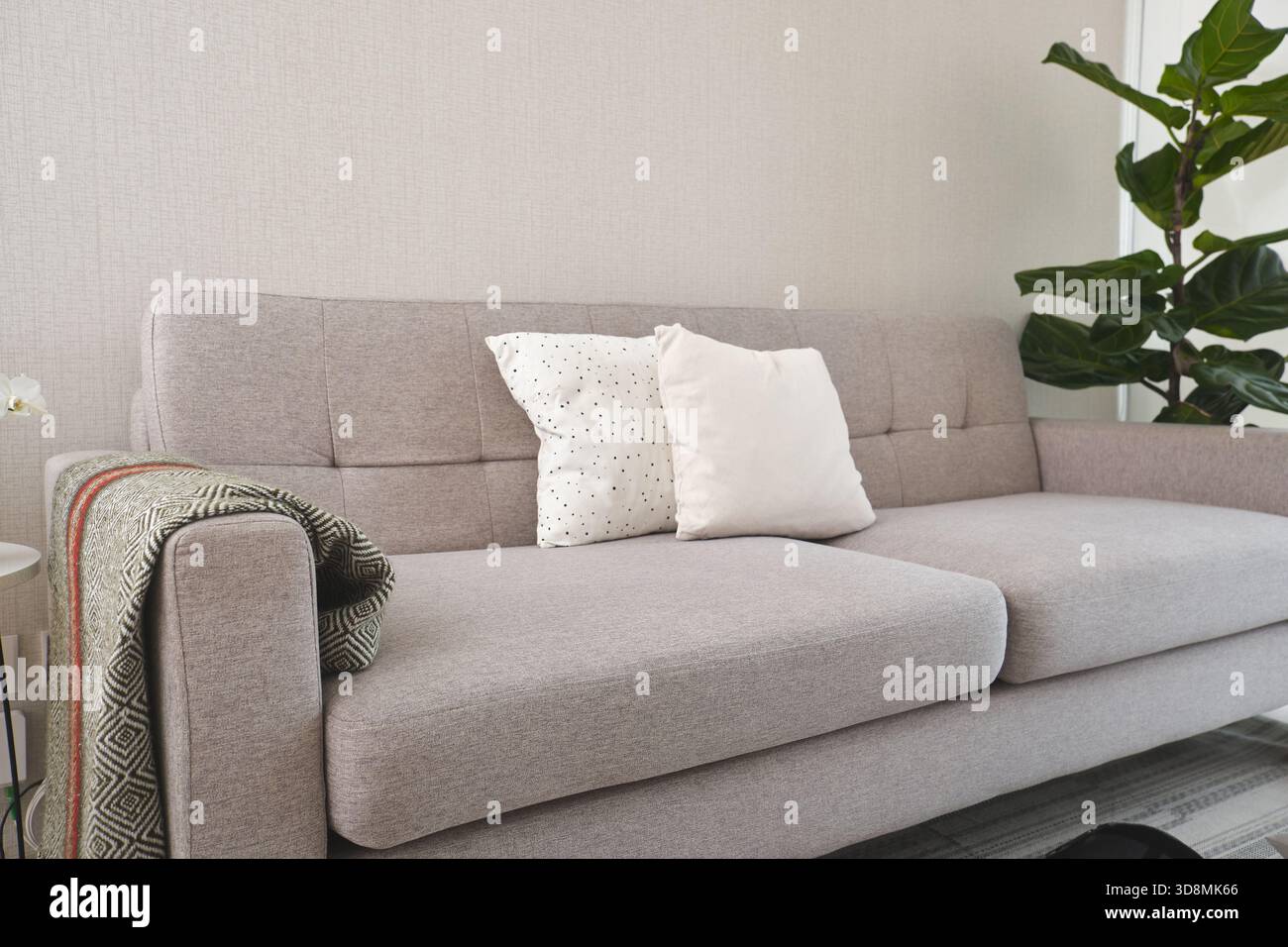 Canapé gris clair confortable avec des oreillers décoratifs et une couverture créant un espace à la maison confortable Banque D'Images