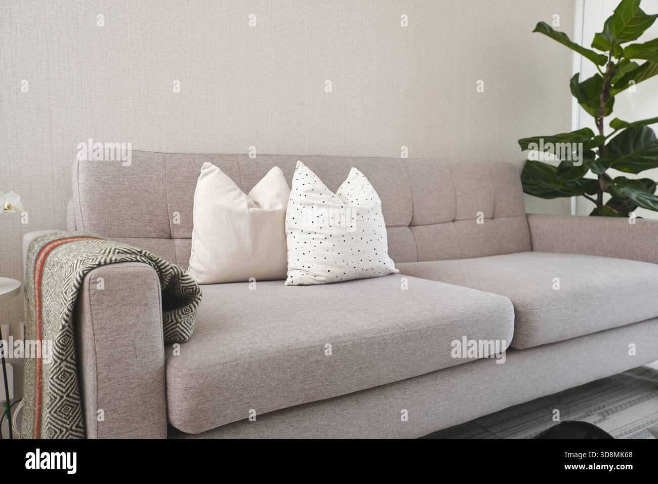 Canapé gris clair confortable avec des oreillers décoratifs et une couverture créant un espace à la maison confortable Banque D'Images