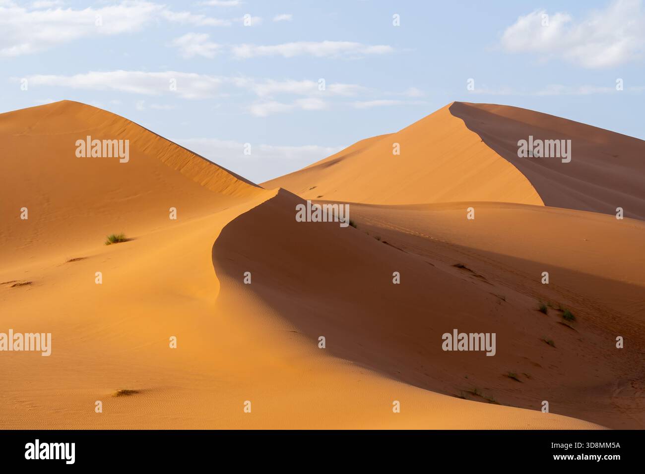 Vue du désert du Sahara au Maroc, Afrique. Le désert du Sahara est le plus grand désert chaud du monde. Banque D'Images