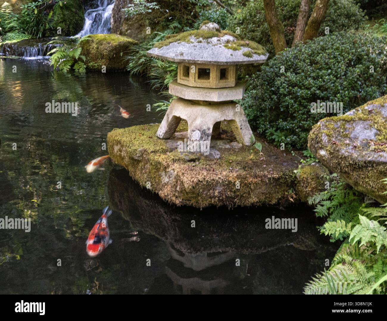 Jardin japonais Portland paisible Banque D'Images