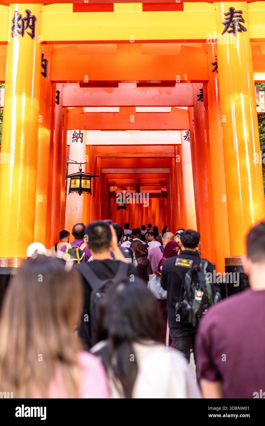 Des milliers de portes Vermilion Torii au sanctuaire Fushimi Inari formant un tunnel, Kyoto Banque D'Images