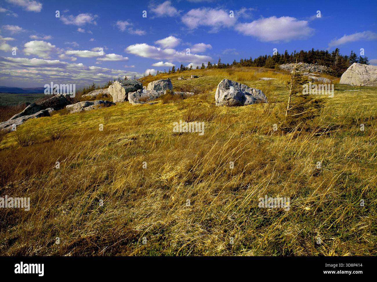Le point culminant de Spruce Knob en Virginie occidentale Banque D'Images