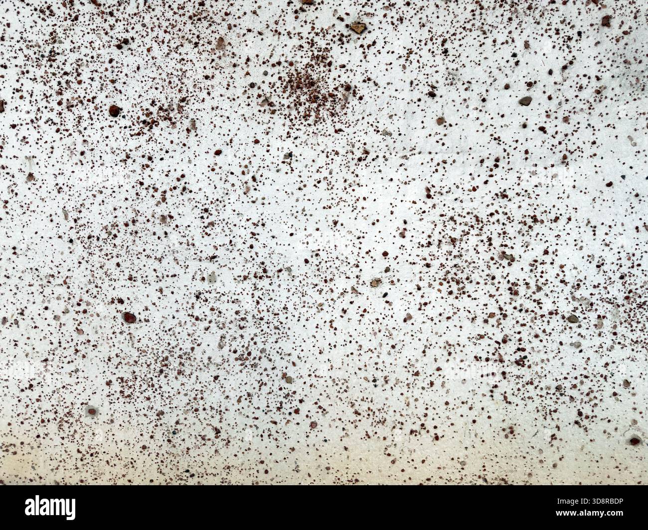 Une surface de couleur claire très texturée est densément recouverte de petites particules brunes irrégulières et brunes rougeâtres dispersées, créant un backgr grunge Banque D'Images