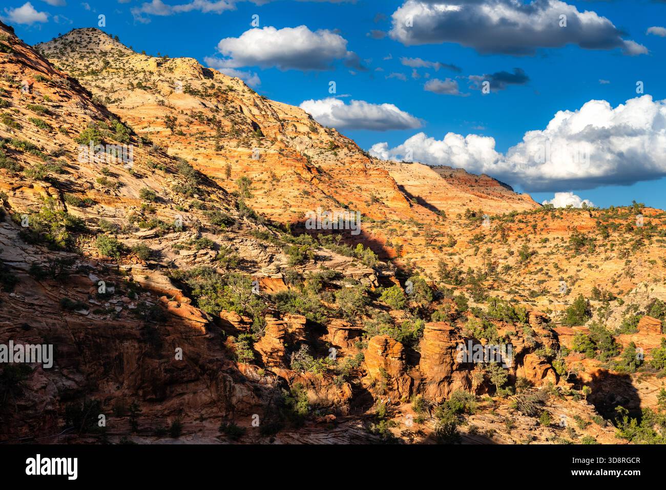 Les falaises de grès rouge s'élèvent vers le ciel bleu dans le parc national de Zion, Utah, États-Unis. Les formations géologiques de grès Navajo présentent des textures rocheuses superposées et une végétation verte les jours ensoleillés Banque D'Images