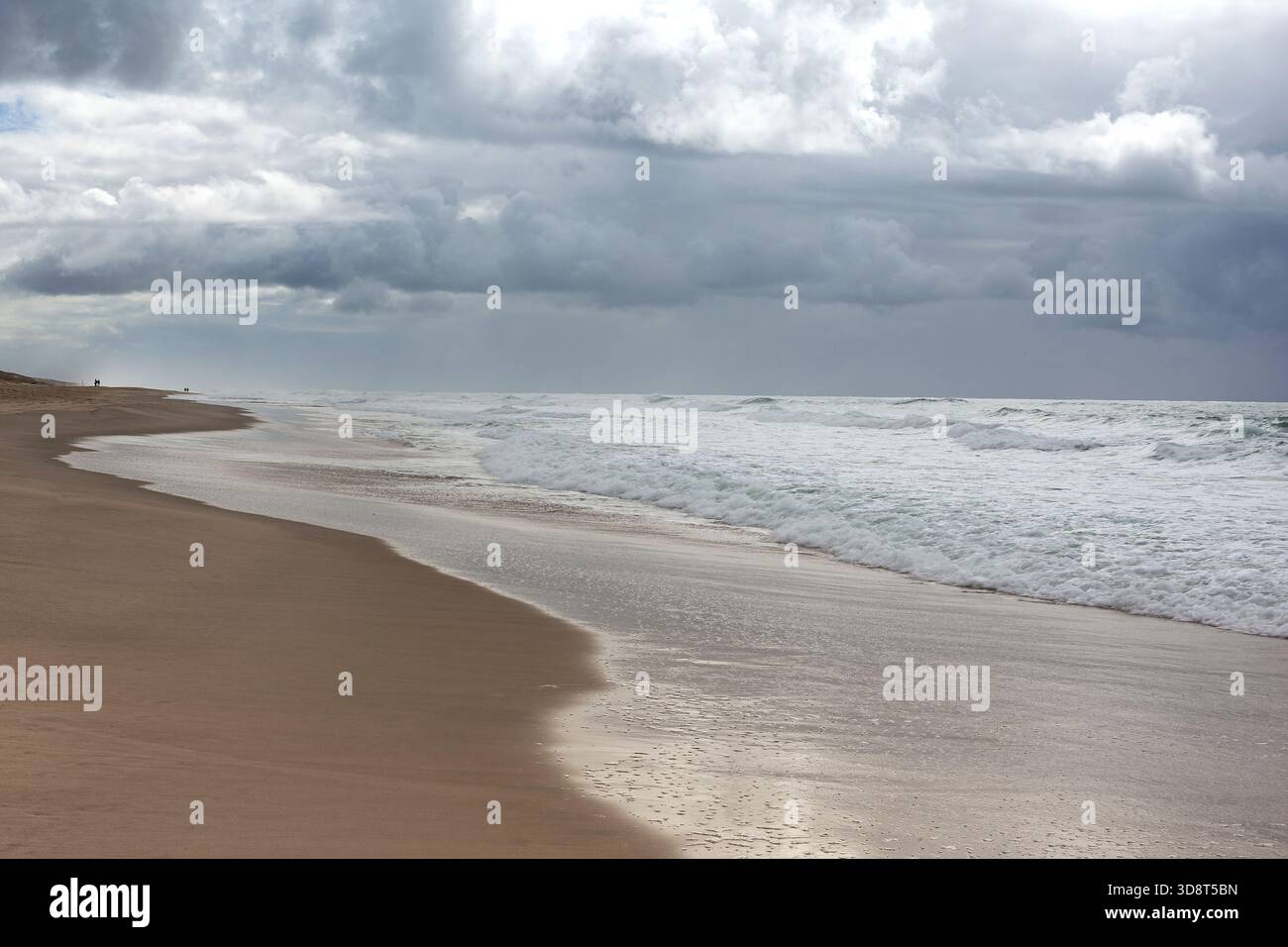 Promeneurs sur la plage de l'océan Banque D'Images