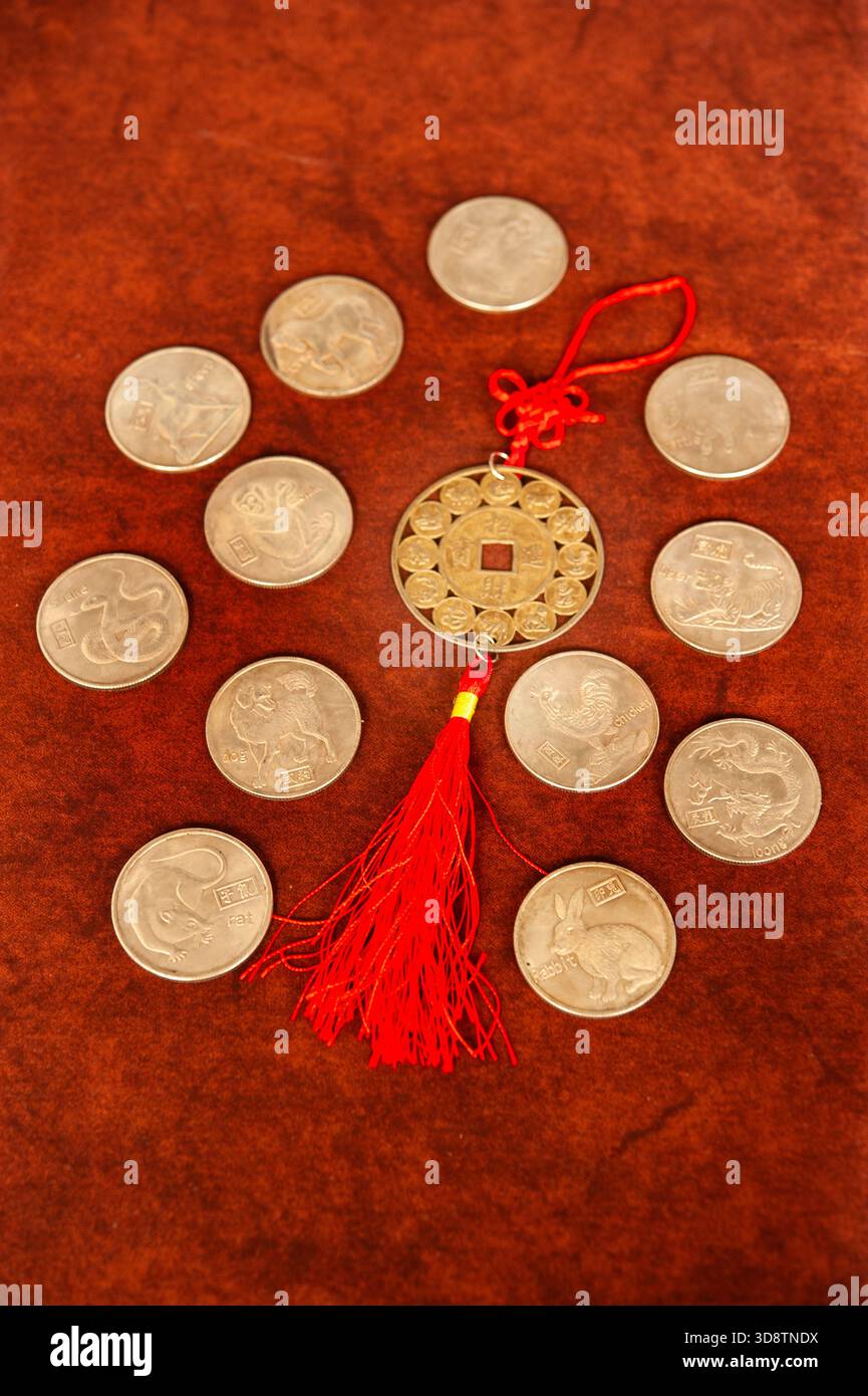 pièces de monnaie chanceuses chinoises entourées de pièces de monnaie avec des symboles de signes du zodiaque Banque D'Images