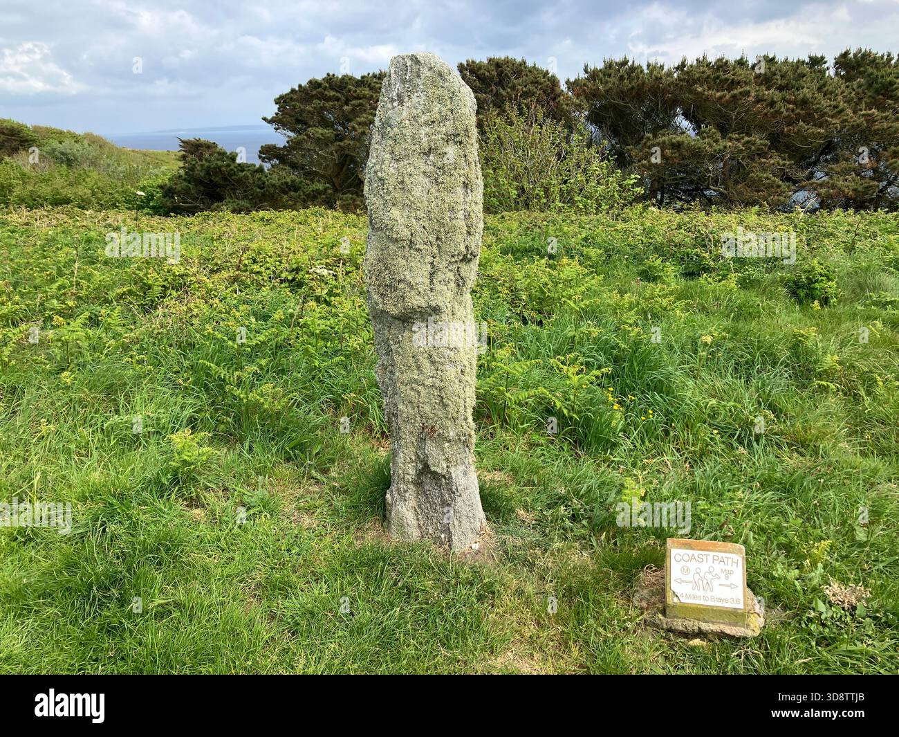 Îles anglo-normandes britanniques. Alderney. La Madonna Stone. Pierre debout. Banque D'Images