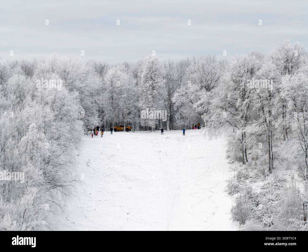 Paysage hivernal panoramique sur les montagnes Visegradi. Ce palce est la piste de ski et de traîneau Dobogo-ko Banque D'Images