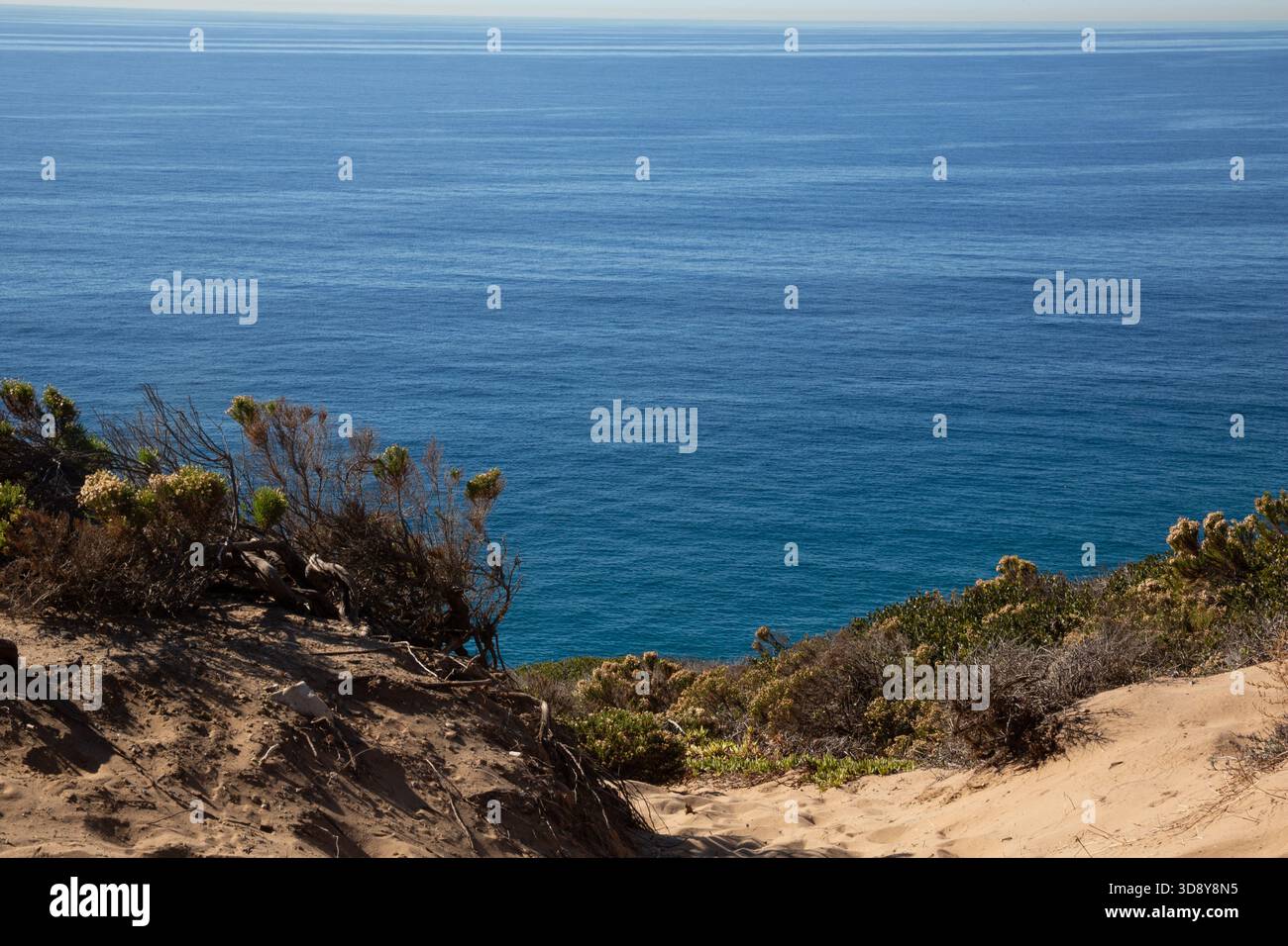 Point Dume, CA Banque D'Images