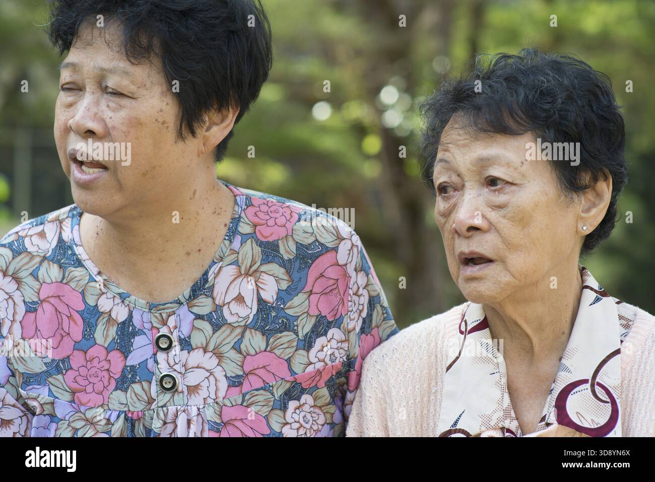 Cliché franc de femmes âgées asiatiques discutant dans un parc extérieur le matin Banque D'Images