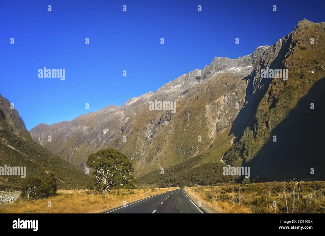 Route de montagne spectaculaire menant à la Milford Sound, Nouvelle Zélande Banque D'Images