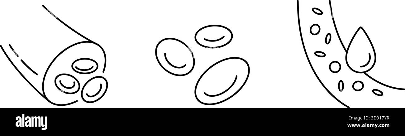 Icônes de ligne de vaisseau sanguin définies. Symbole de l'artère et de la veine humaines. Signe de l'hémoglobine sanguine. Contrôle sain du système cardiaque. Icône de vaisseau sain. Vecteur Illustration de Vecteur