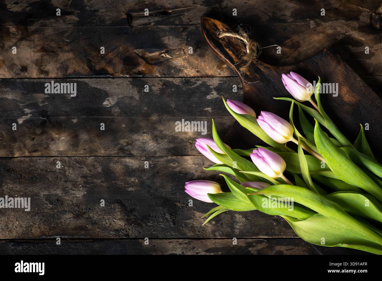 Un charmant arrangement de tulipes délicates dans des tons roses doux sur fond de bois rustique, offrant un mélange parfait de beauté naturelle et de cha rustique Banque D'Images