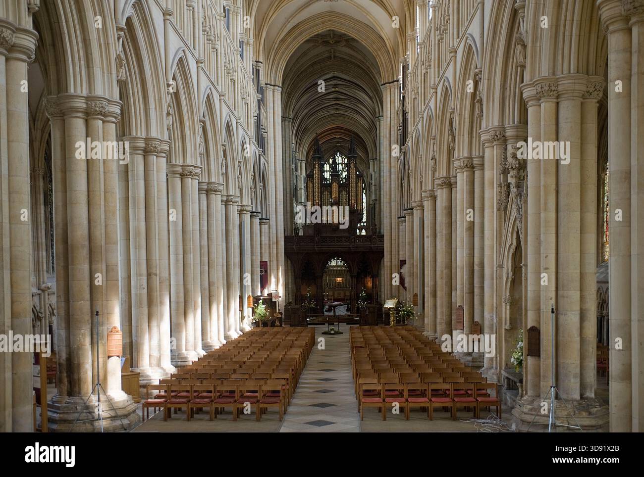 Beverley Minster, dans le Yorkshire de l'est, est l'une des plus belles églises gothiques d'Europe et un chef-d'œuvre de l'architecture médiévale. Commencée vers 1120 comme collégiale augustinienne remplaçant un ancien monastère anglo-saxon fondé par Saint-Jean de Beverley, elle a été largement reconstruite de 1220 à 1420 dans un style anglais rayonnant, décoré et perpendiculaire. Célèbre pour ses tours ouest jumelles, ses magnifiques sculptures en pierre du XIVe siècle (y compris des anges musicaux et des ménestrels), sa nef imposante et sa grue à roue sur pied unique du XVIe siècle encore en place, elle rivalise avec de nombreuses cathédrales en termes d'échelle et de beauté. Un lieu de pèlerinage fo Banque D'Images