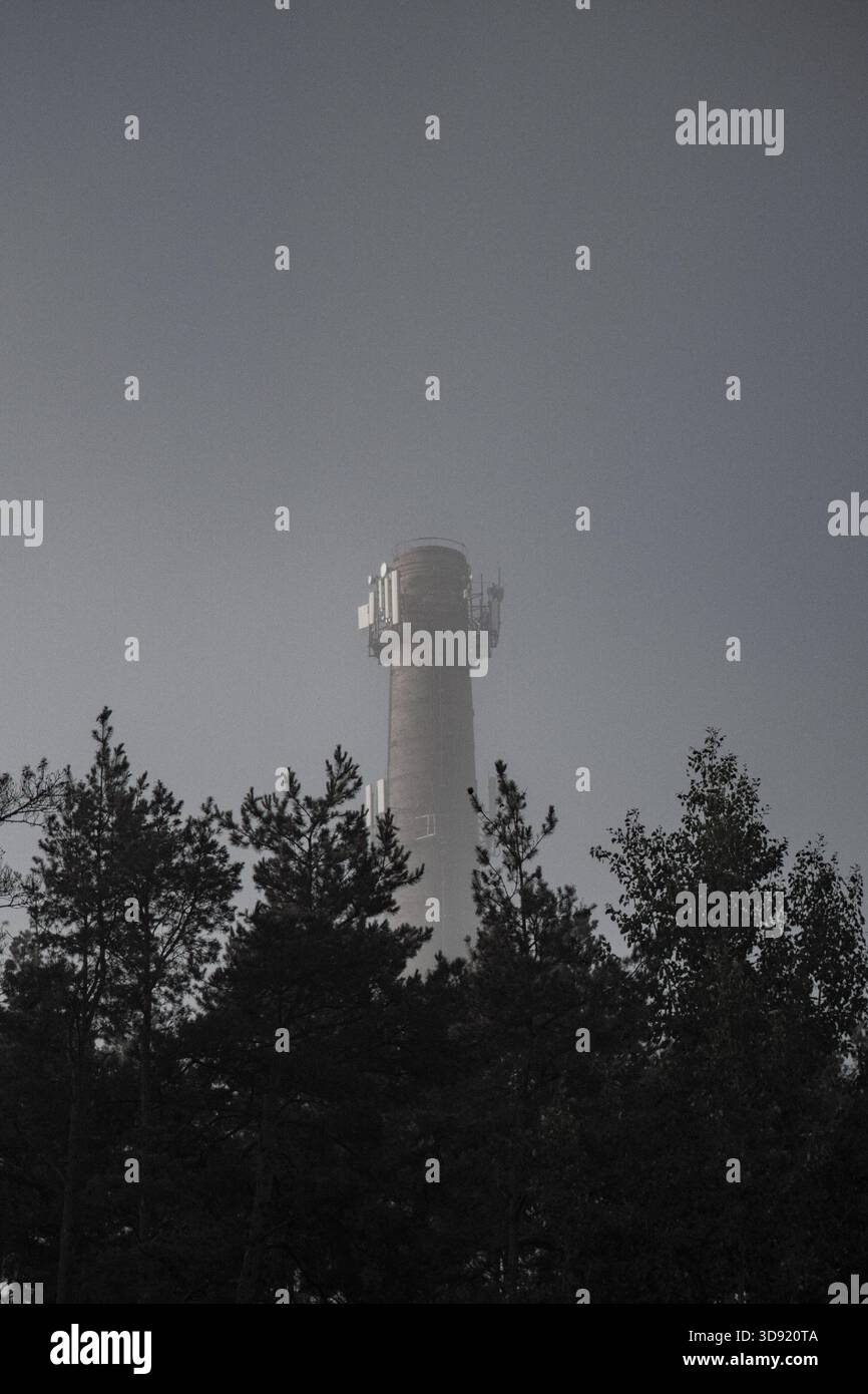 Brouillard et un gros tuyau contre les arbres Banque D'Images