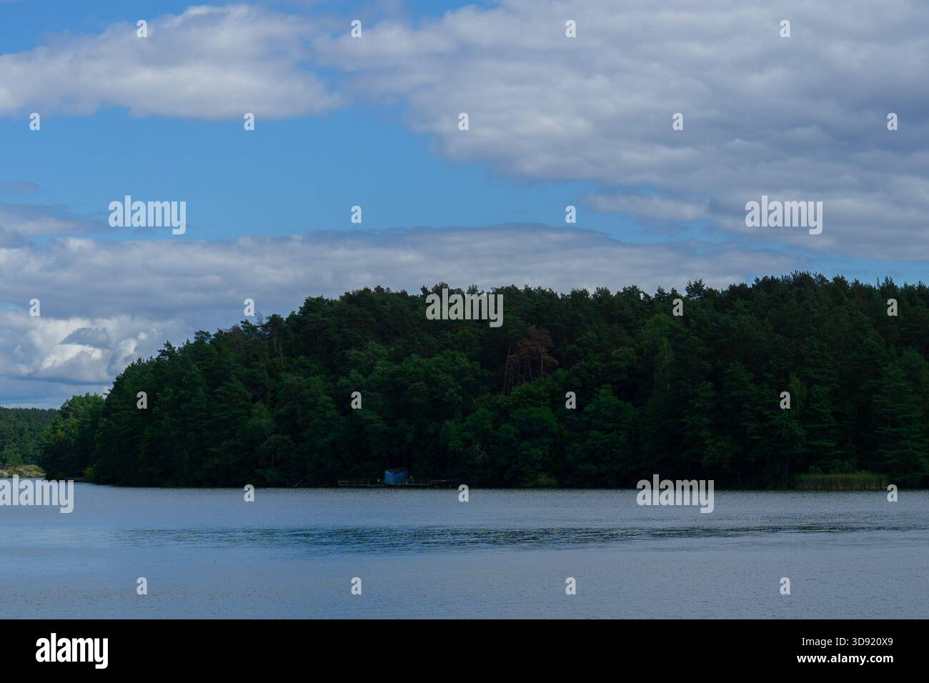 Vue de la rive opposée dans le parc : forêt, eau, ciel Banque D'Images