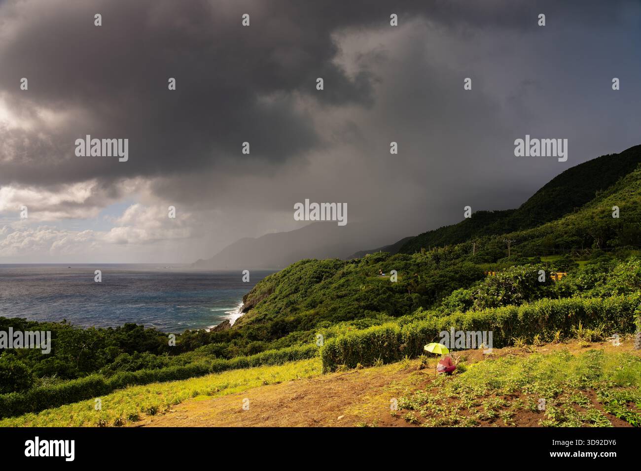 Lanyu, Taiwan, 3 octobre 2025.belle vue sur la pluie et les femmes dans le champ Banque D'Images