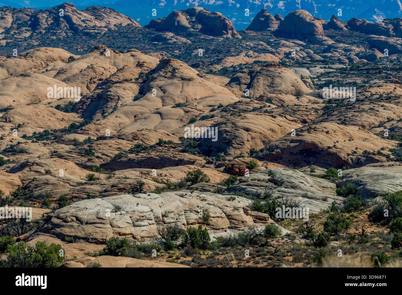Vue de Petrified Dunes depuis Arches Scenic Drive dans le parc national d'Arches près de Moab, Utah, États-Unis. Banque D'Images