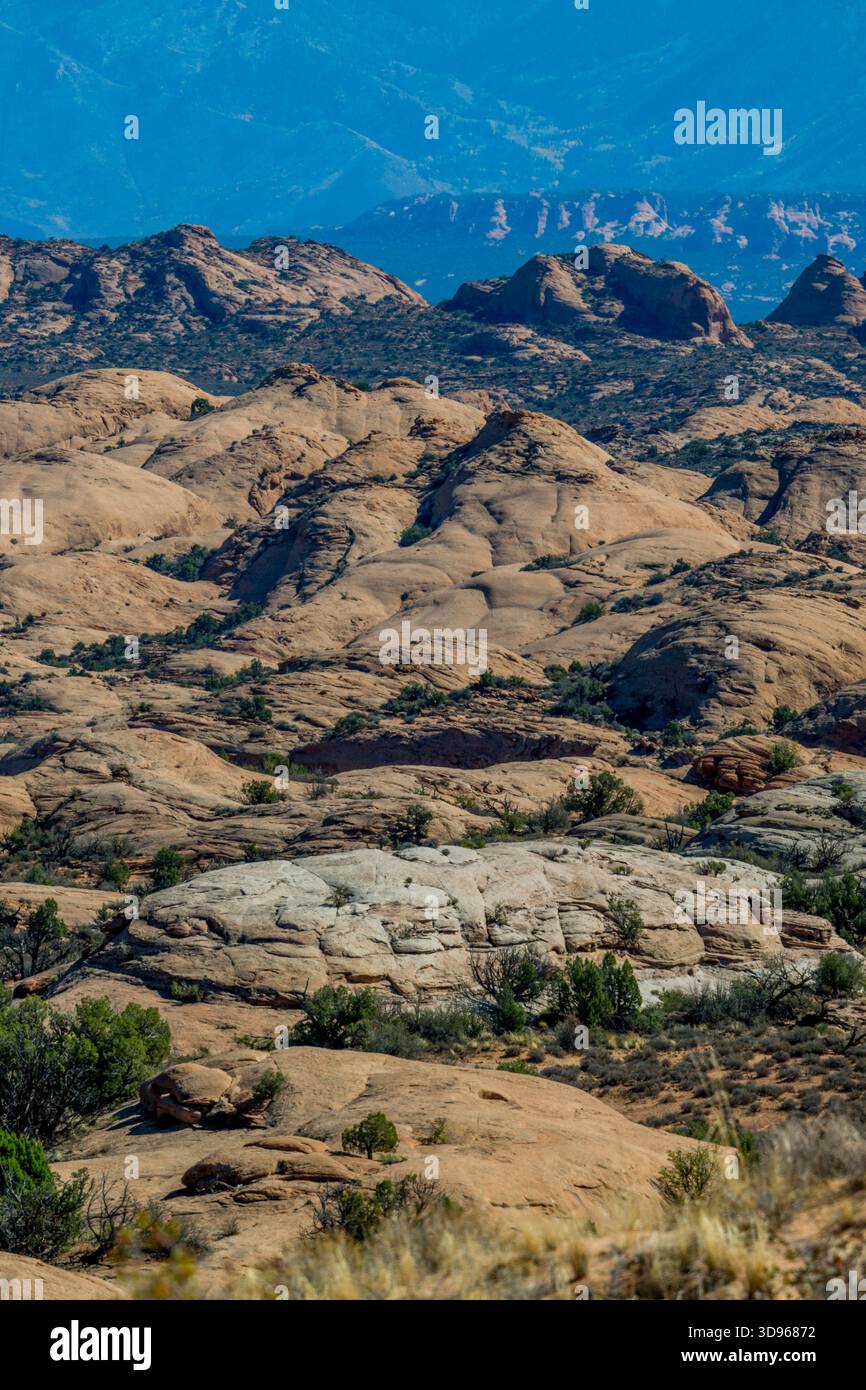 Vue de Petrified Dunes depuis Arches Scenic Drive dans le parc national d'Arches près de Moab, Utah, États-Unis. Banque D'Images