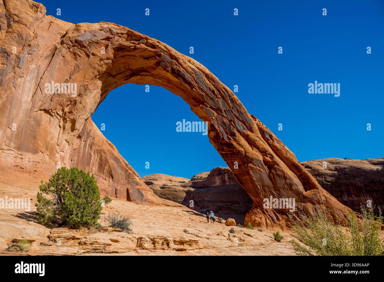 Randonneurs à Corona Arch, une arche de grès naturelle près de Moab, Utah, dans un canyon latéral du fleuve Colorado à l'ouest de Moab dans le comté de Grand, Utah, United Banque D'Images