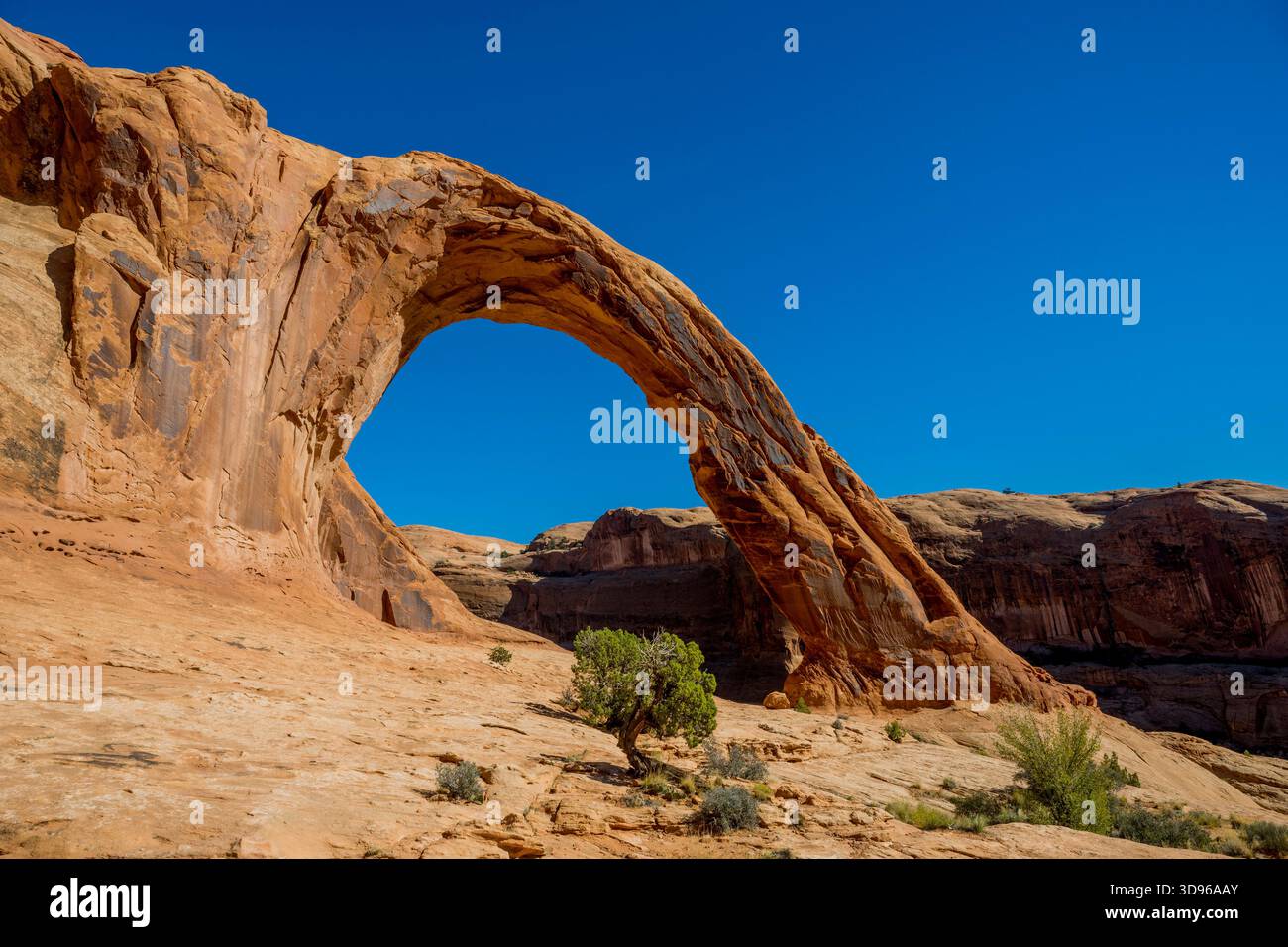 Corona Arch, une arche naturelle en grès près de Moab, Utah, dans un canyon latéral du fleuve Colorado à l'ouest de Moab dans le comté de Grand, Utah, États-Unis. Banque D'Images