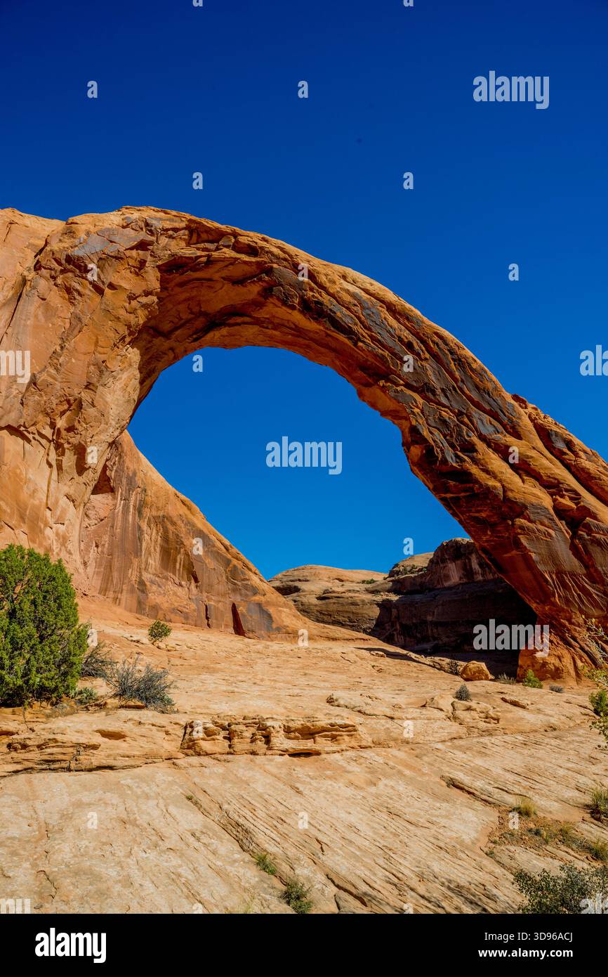 Corona Arch, une arche naturelle en grès près de Moab, Utah, dans un canyon latéral du fleuve Colorado à l'ouest de Moab dans le comté de Grand, Utah, États-Unis. Banque D'Images