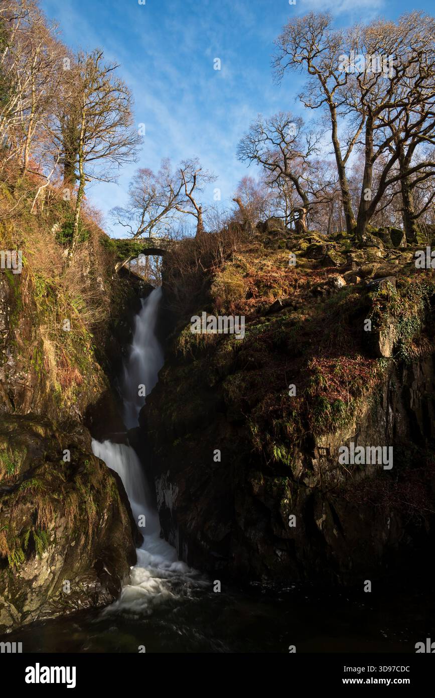 Cascade Aira Force cascadant sous un ancien pont de pierre dans le Lake District. Banque D'Images