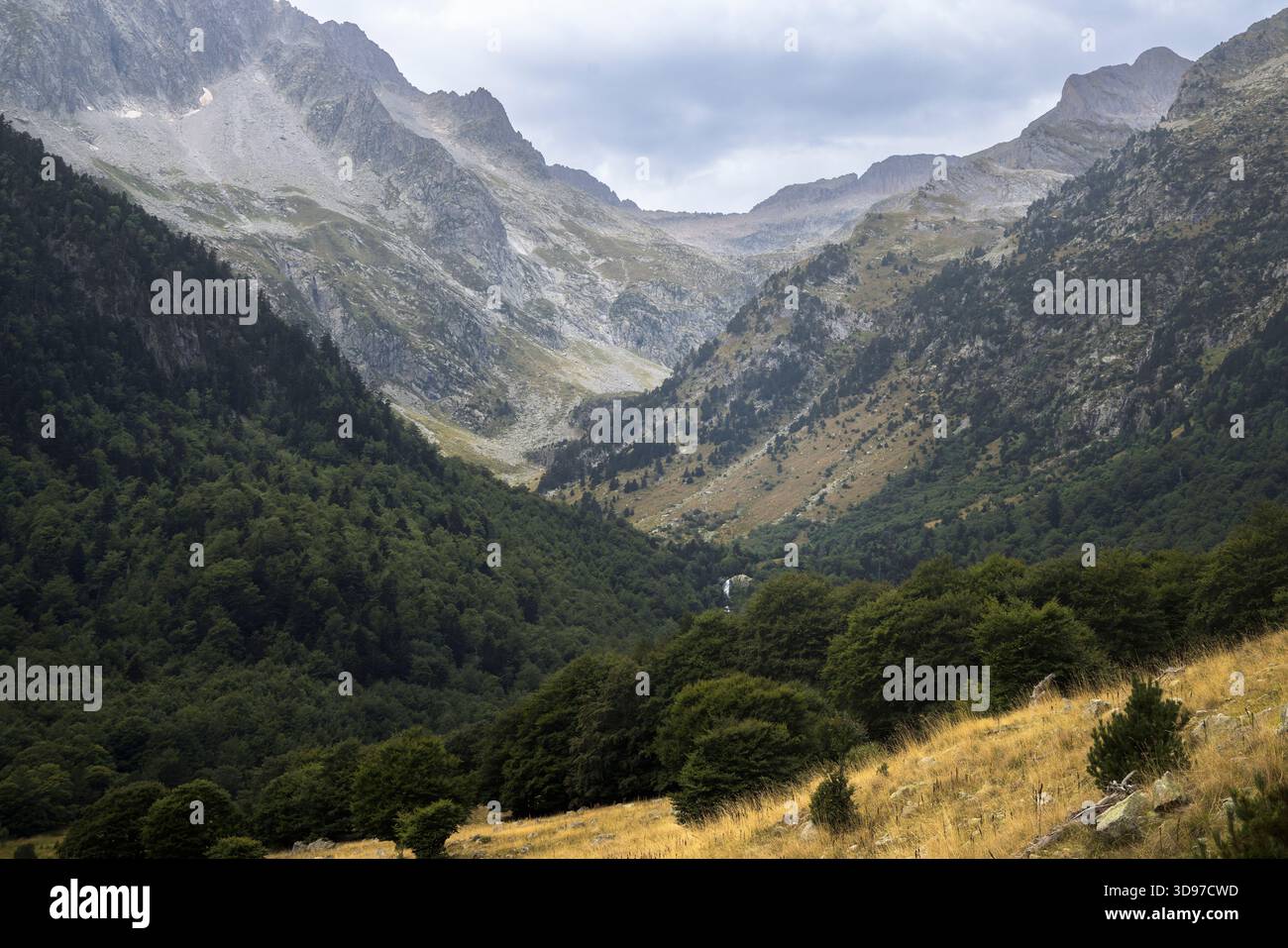 Explorez les superbes montagnes et les vallées luxuriantes de la Vall d'Aran, parfaites pour les amoureux de la nature à la recherche d'une beauté sereine et d'une faune et d'une flore animées, la Catalogne Banque D'Images