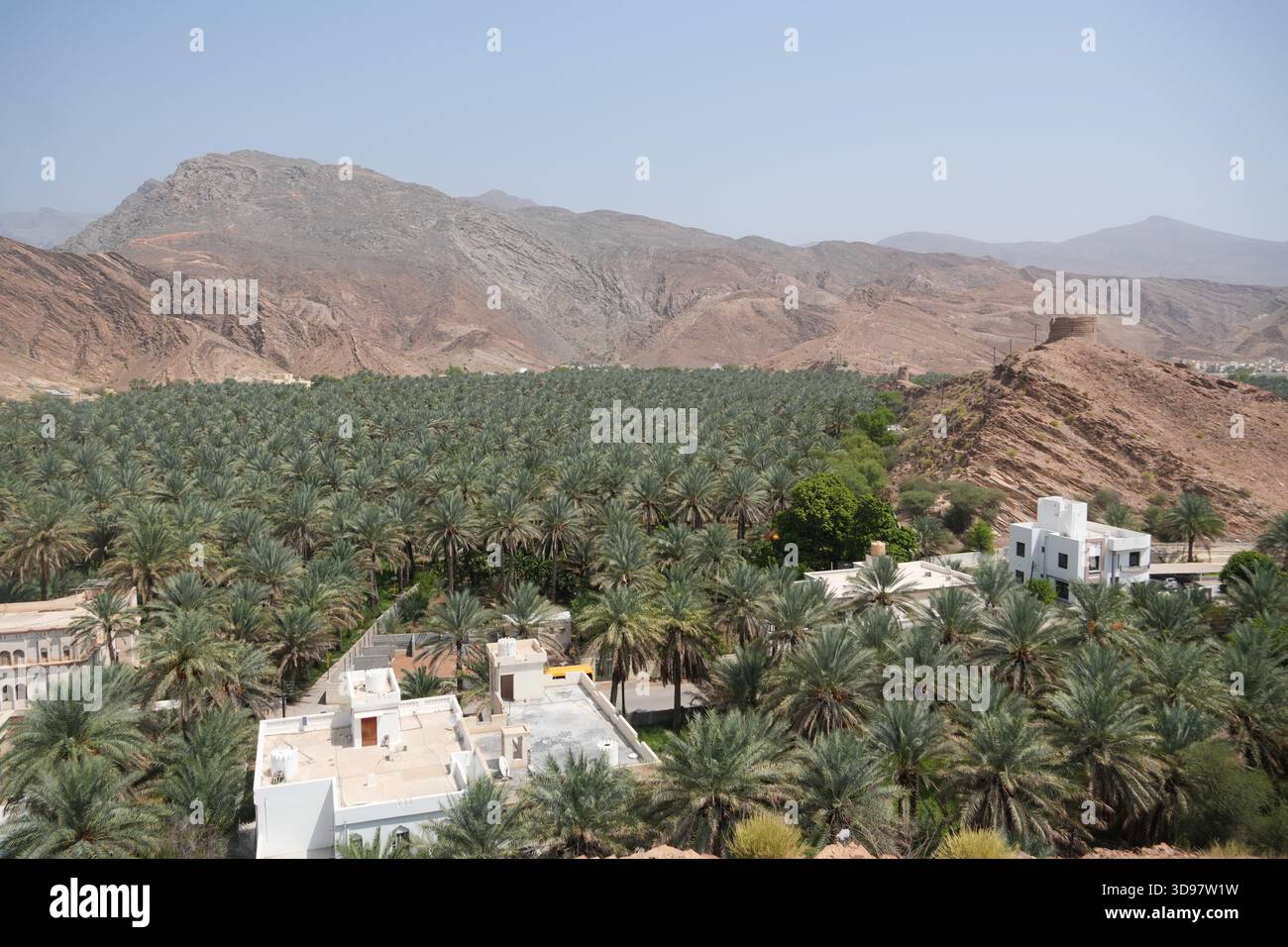 Oasis de palmiers et paysage de montagne à Birkat Al Mouz, Oman Banque D'Images