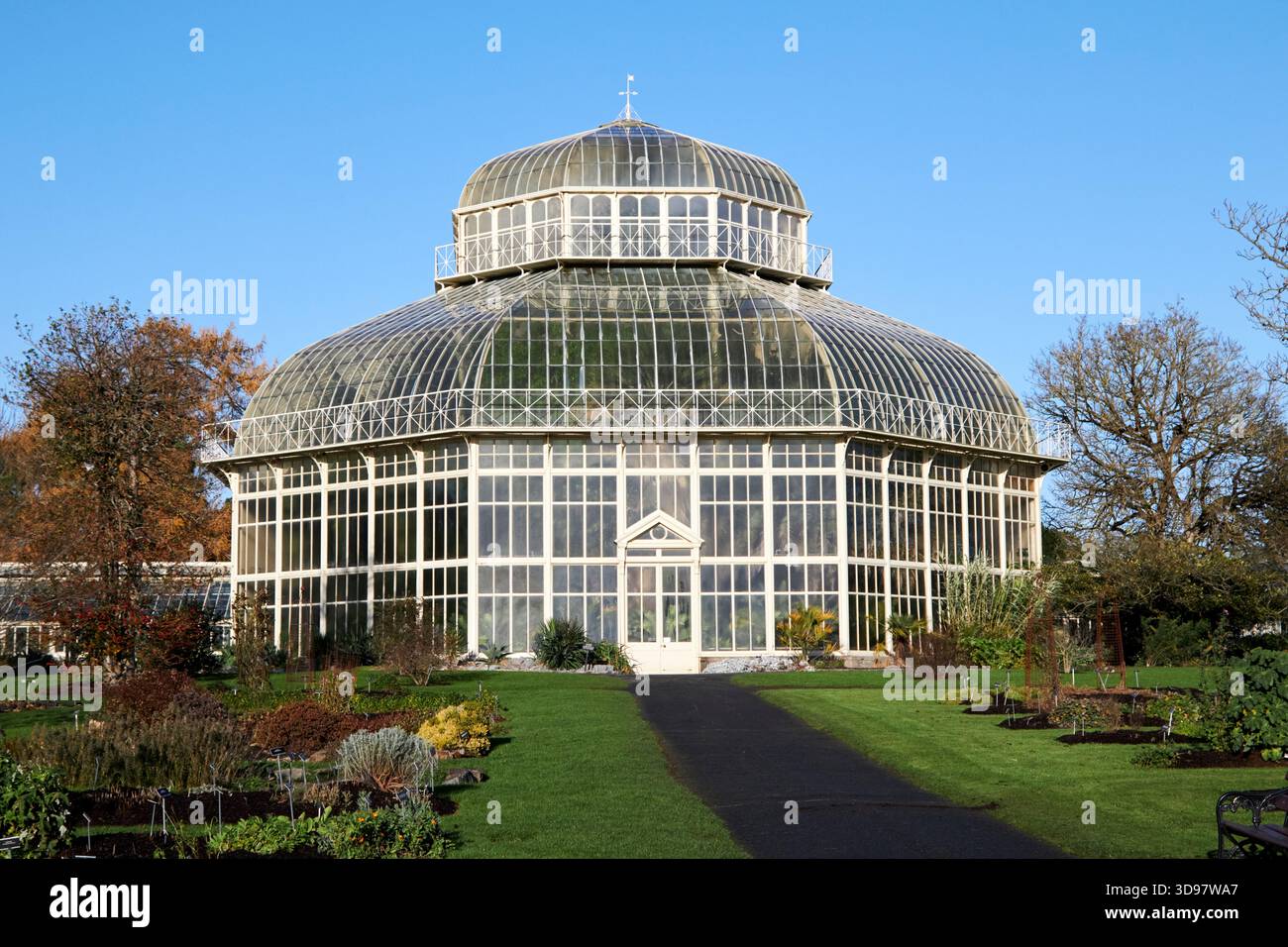 la grande maison de palmiers jardins botaniques nationaux dublin, république d'irlande Banque D'Images