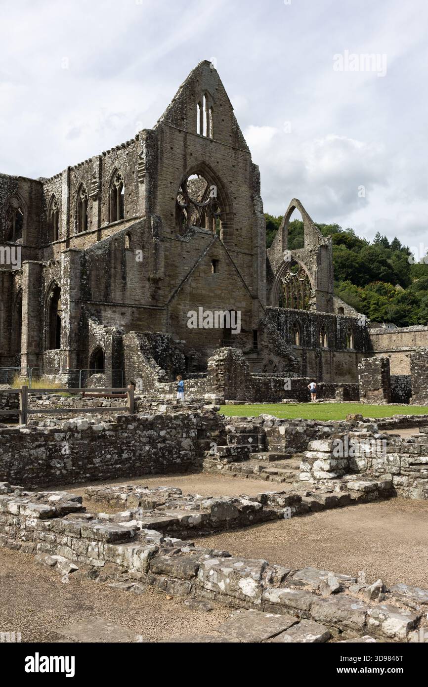 Abbaye de Tintern, Monmouthshire, Wales, UK Banque D'Images
