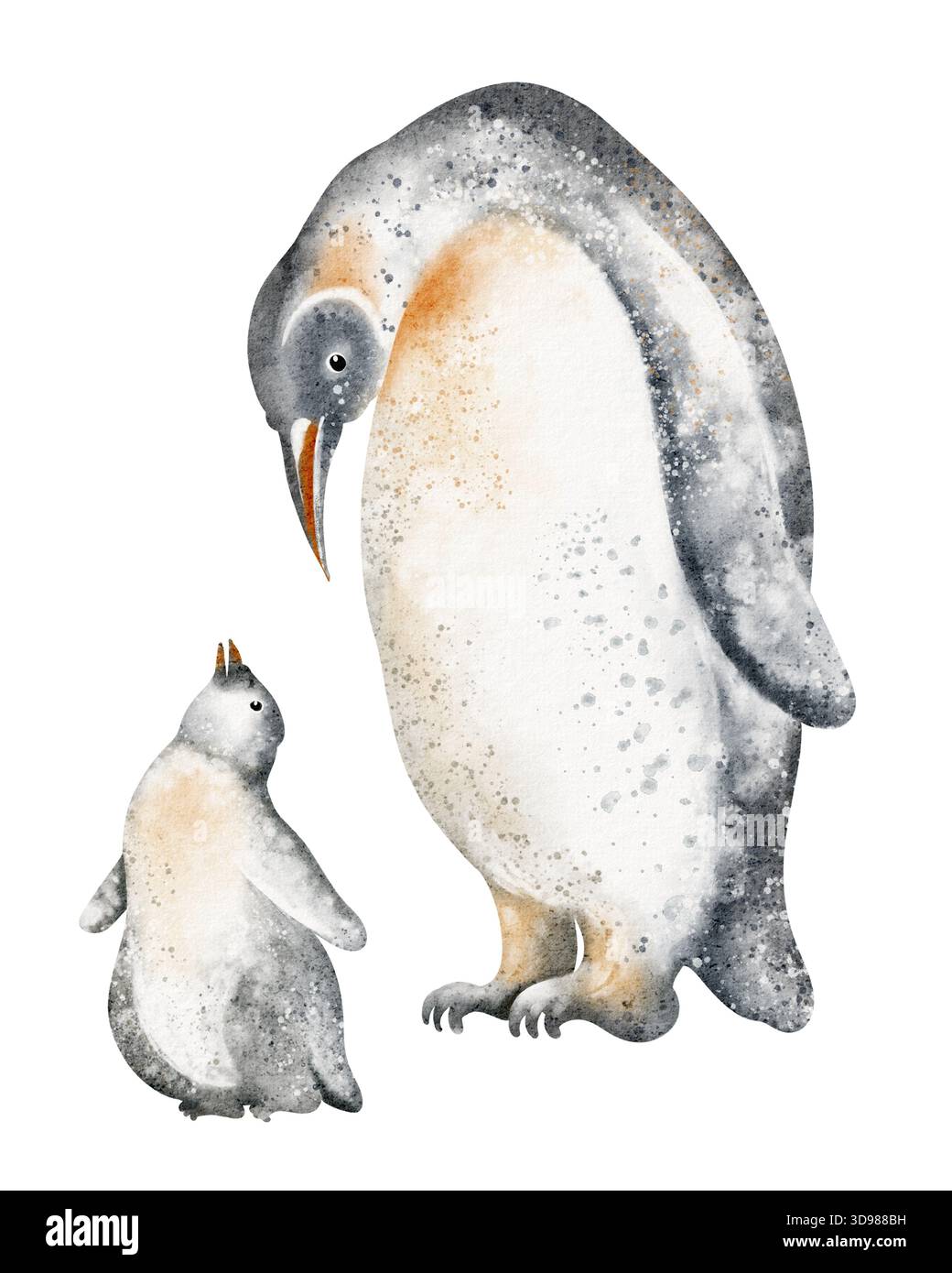 Illustration de la famille de pingouin à l'aquarelle. Père pingouin et bébé poussin isolé sur fond blanc. Conception d'animaux et dessin pour l'impression ou la carte. Banque D'Images