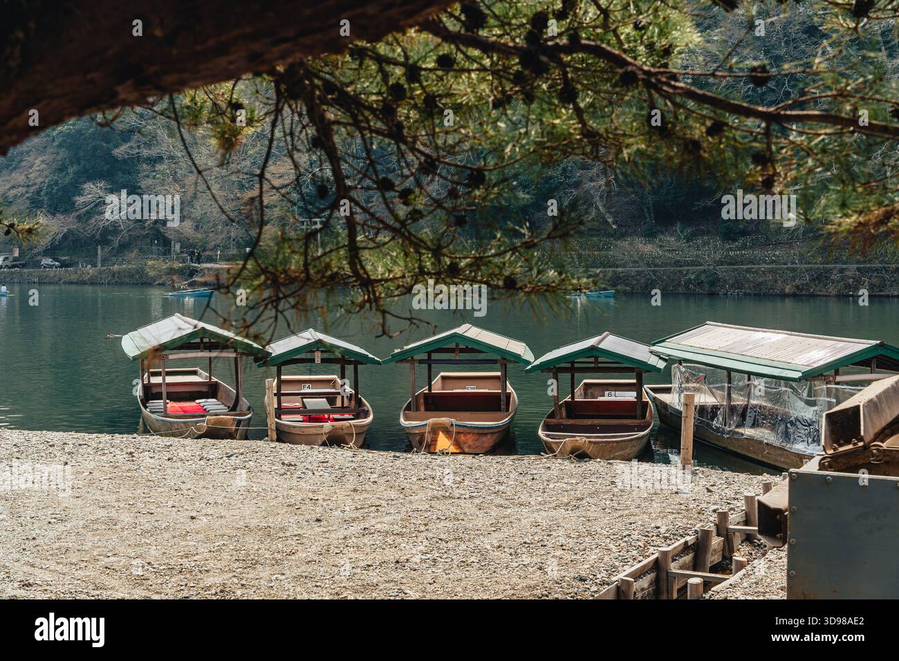 Bateau à rames traditionnel en bois amarré avec des pins couverts sur le bord de la rivière Katsura à Arashiyama, Kyoto, Japon Banque D'Images