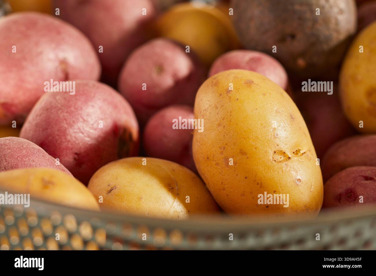 pommes de terre de bébé entières crues Banque D'Images