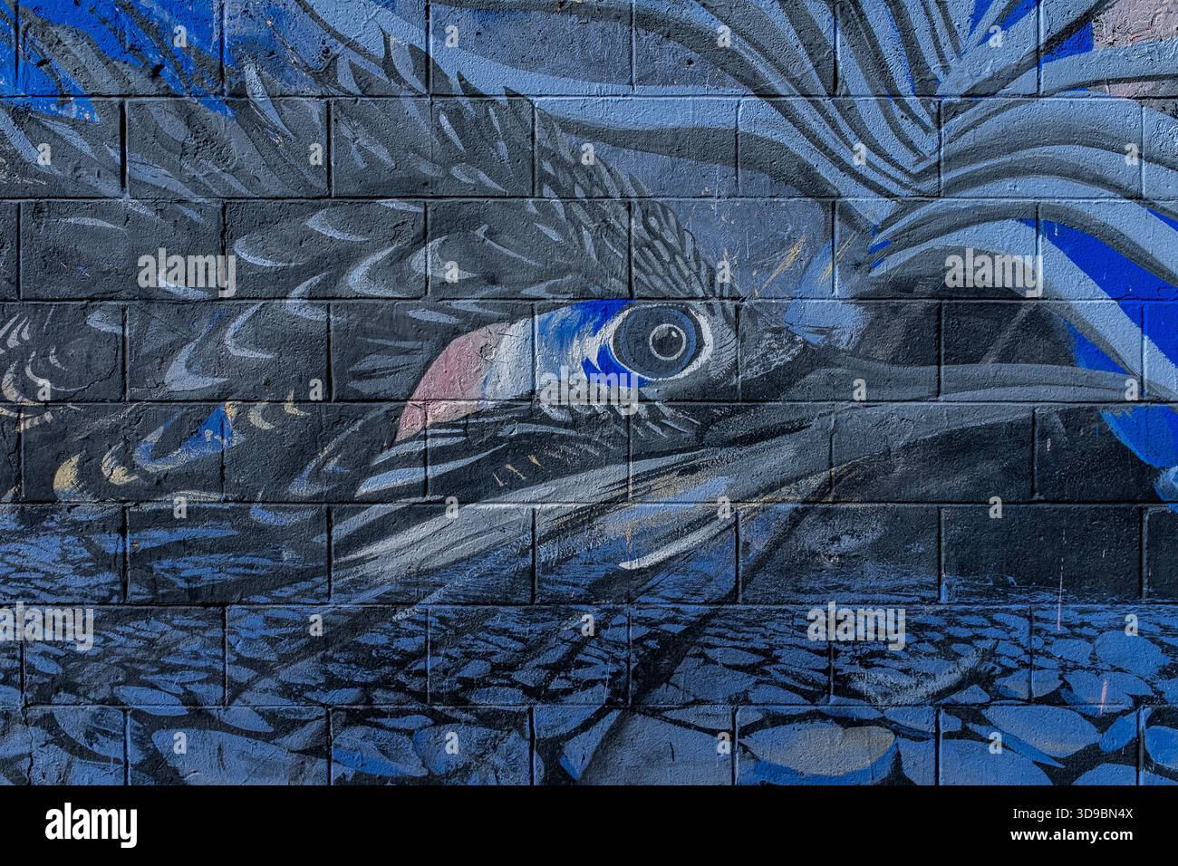 Street art à Albuquerque, Nouveau Mexique Banque D'Images