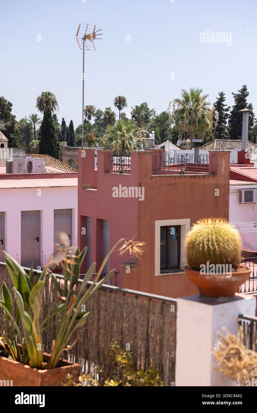 Des plantes et des arbres encadrent le quartier historique de Santa Cruz du quartier Casco Antiguo de Séville, Andalousie, Espagne. Banque D'Images