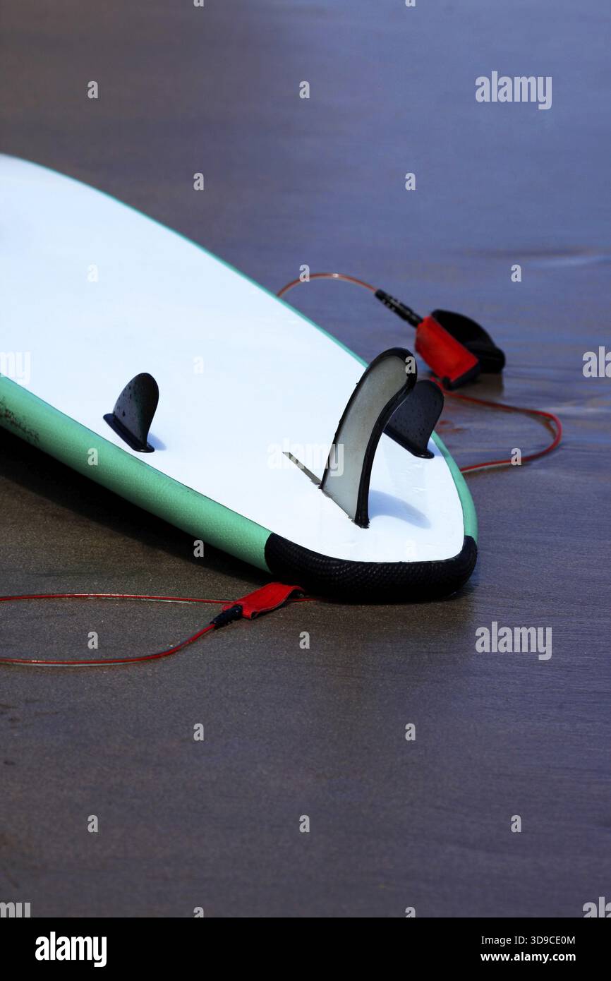 Conseil pour surfer sur un océan de la côte Banque D'Images