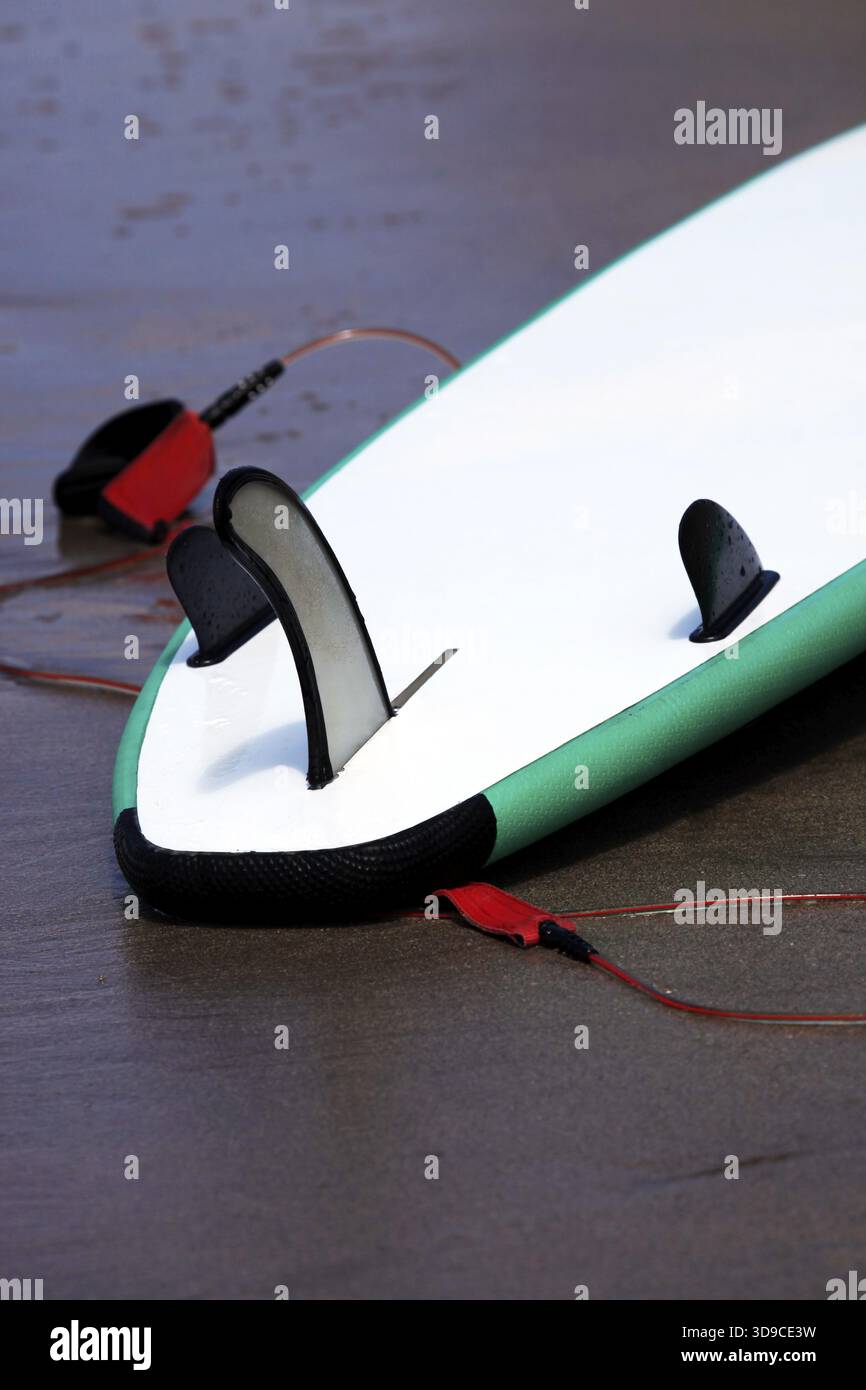 Conseil pour surfer sur un océan de la côte Banque D'Images