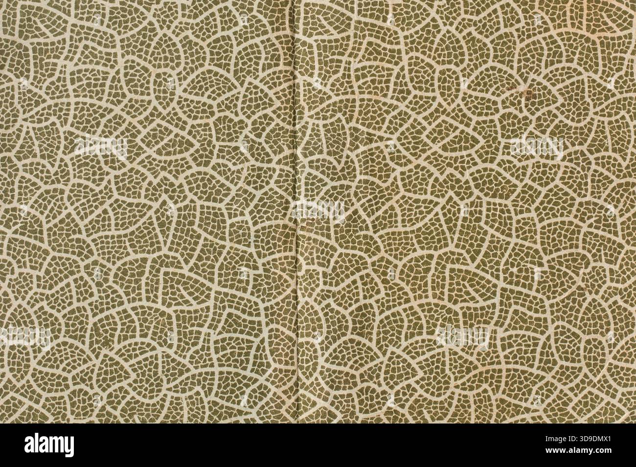gros plan plein écran de papier décoratif vintage, vert olive foncé avec motif craquelé abstrait, texture de papier d'extrémité de vieux livre avec pli vertical Banque D'Images