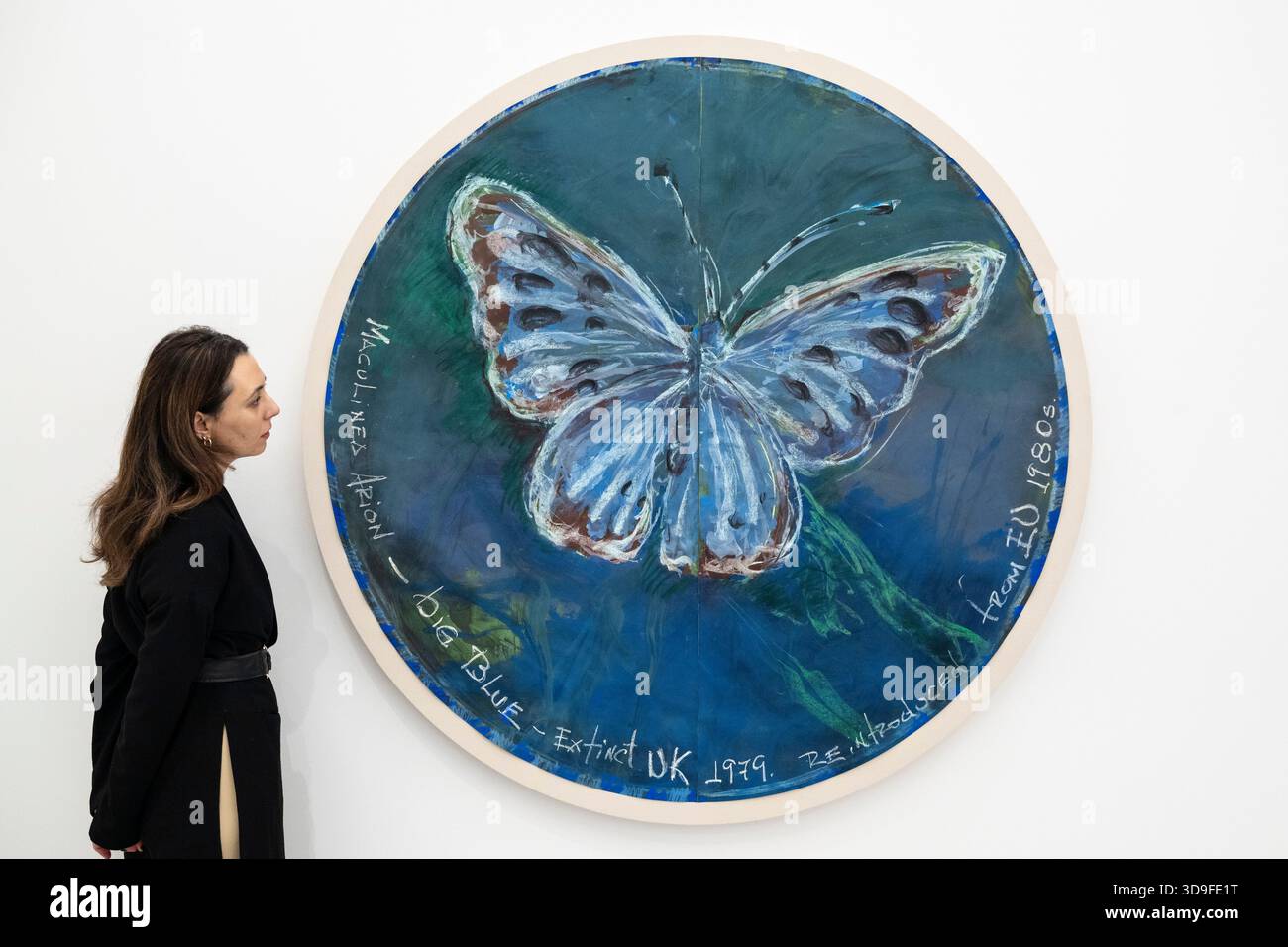 Londres, Royaume-Uni. 5 décembre 2025. Un membre du personnel de « Maculinea Arion - Big Blue - Expult UK 1979. Réintroduit de eu 1980s (rondo)’, 2025, lors de l’ouverture d’Oswaldo Maciá : Migratory Movements, une nouvelle exposition de l’artiste colombien Oswaldo Maciá à la galerie Elizabeth Xi Bauer à Exmouth Market. Les œuvres de l’artiste explorent l’écologie, l’environnement et le monde naturel. Le spectacle se déroule jusqu'au 15 février 2026. Credit : Stephen Chung / Alamy Live News Banque D'Images