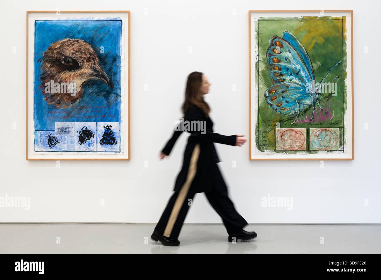 Londres, Royaume-Uni. 5 décembre 2025. Un membre du personnel passe (l) « observation : Common Swift, Apus Apus. Consomme 20 000 insectes par jour » et « observation sur la théorie migratoire des papillons Polyommatus », tous deux en 2025, lors de l’ouverture d’Oswaldo Maciá : mouvements migratoires, une nouvelle exposition de l’artiste colombien Oswaldo Maciá à la galerie Elizabeth Xi Bauer au marché d’Exmouth. Les œuvres de l’artiste explorent l’écologie, l’environnement et le monde naturel. Le spectacle se déroule jusqu'au 15 février 2026. Credit : Stephen Chung / Alamy Live News Banque D'Images